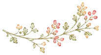 装飾：フローラル